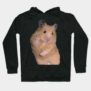 Peace hamster Hoodie